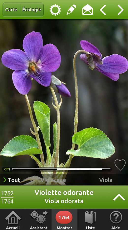 Fleurs en poche - 1764 Fleurs sauvages dans votre smartphone - page montrer