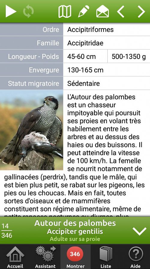 Oiseaux en poche - 348 Oiseaux d’Europe dans votre smartphone - détails