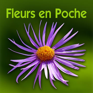    Fleurs en poche - 1764 Fleurs sauvages dans votre smartphone ou sur votre tablette !