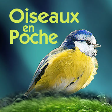    Oiseaux en poche - 348 Oiseaux d’Europe dans votre smartphone ou sur votre tablette !